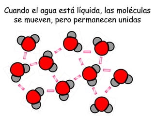 Cuando el agua está líquida, las moléculas
se mueven, pero permanecen unidas

 