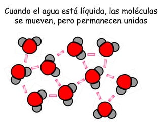 Cuando el agua está líquida, las moléculas
se mueven, pero permanecen unidas

 