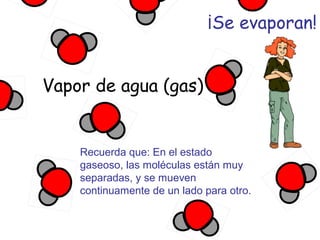 ¡Se evaporan!
Vapor de agua (gas)

Recuerda que: En el estado
gaseoso, las moléculas están muy
separadas, y se mueven
continuamente de un lado para otro.

 