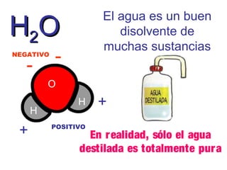 El agua es un buen
disolvente de
muchas sustancias

H2O
NEGATIVO

-

-

O
H

+

H
POSITIVO

+

En r ealidad, sólo el agua
destilada es totalmente pur a

 