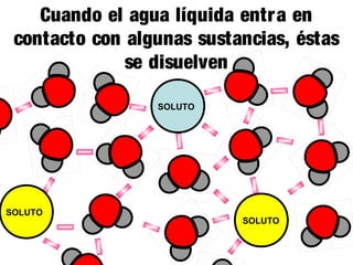 Cuando el agua líquida entr a en
contacto con algunas sustancias, éstas
se disuelven
SOLUTO

SOLUTO

SOLUTO

 