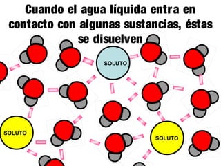 Cuando el agua líquida entr a en
contacto con algunas sustancias, éstas
se disuelven
SOLUTO

SOLUTO

SOLUTO

 