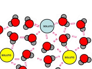 SOLUTO

SOLUTO

SOLUTO

 
