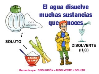 El agua disuelve
muchas sustancias
que conoces
SOLUTO

DISOLVENTE
(H2O)

Recuerda que DISOLUCIÓN = DISOLVENTE + SOLUTO

 