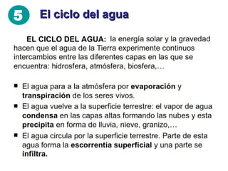 5

El ciclo del agua

La energía solar y la gravedad hacen que el agua de la
Tierra experimente continuos intercambios entre las
diferentes capas en las que se encuentra: hidrosfera,
atmósfera, biosfera,…
•El agua pasa a la atmósfera por evaporación y transpiración
de los seres vivos.
•El agua vuelve a la superficie terrestre: el vapor de agua se
condensa en las capas altas formando nubes y desde allí
precipita en forma de lluvia, nieve, granizo,…
•El agua circula por la superficie terrestre. Parte de esta agua
forma la escorrentía superficial y una parte se infiltra para
formar parte del agua subterránea.

 
