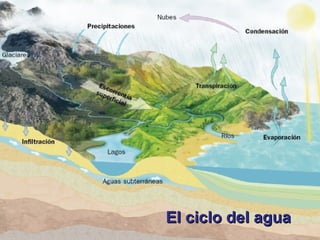 El ciclo del agua

 