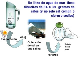 AGUA
DE
MAR

Evaporación

Un litro de agua de mar tiene
disueltos de 34 a 39 gr amos de
sales (y no sólo sal común o
clorur o sódico)

36 g
Obtención
de sal en
una salina

Sal de
mesa
pura
REFINADO

 