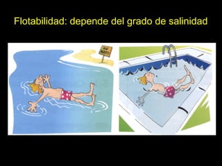 Flotabilidad: depende del grado de salinidad

 