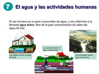 7 El agua y las actividades humanas
El agua que consumimos en nuestras casas es agua potable. Se
considera agua potable a aquella que puede ser consumida sin
peligro para la salud humana.
La potabilización del agua se define como el conjunto de procesos
físicos y químicos que convierten el agua natural en agua potable,
apta para el consumo humano.

 