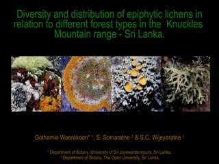 Diversity and distribution of epiphytic lichens in relation to different forest types in the  Knuckles  Mountain range - Sri Lanka. Gothamie Weerakoon*  1 , S. Somaratne  2  & S.C. Wijeyaratne  1 1  Department of Botany, University of Sri Jayewardenepura, Sri Lanka, 2   Department of Botany, The Open University, Sri Lanka. 