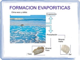 FORMACION EVAPORITICAS
Clima seco y cálido

Evaporación

Precipitación
Mineral:
Halita

Mineral:
Yeso
Yeso

Sal

 
