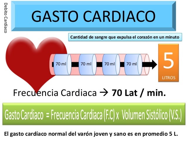 6.funcion ventricular y gasto cardiaco 6.funcion ventricular y gasto cardiaco