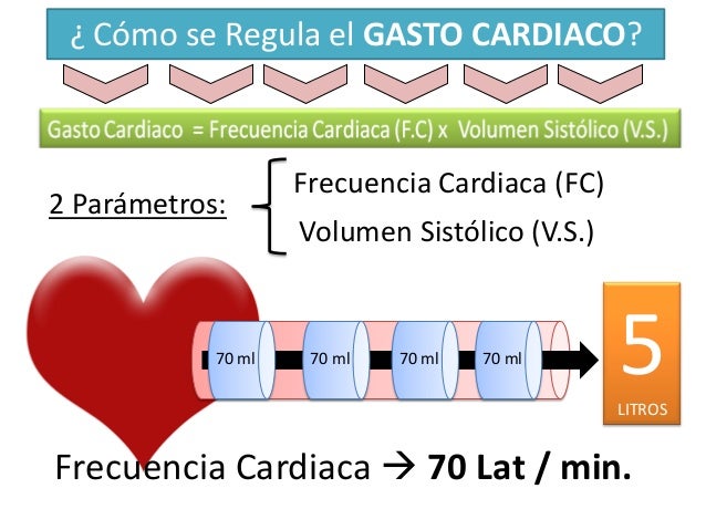 6.funcion ventricular y gasto cardiaco