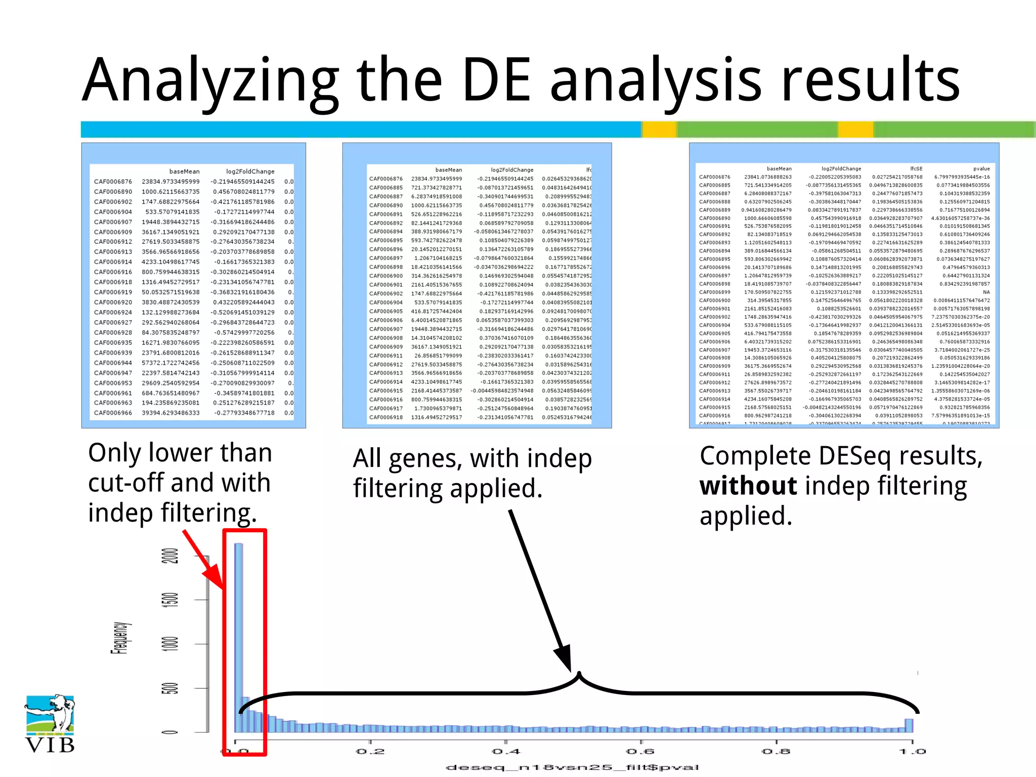 Analyzing the DE analysis results

Only lower than
cut-off and with
indep filtering.

All genes, with indep
filtering applied.

Complete DESeq results,
without indep filtering
applied.

 