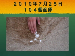 ２０１０年７月２５日
１０４個産卵

 
