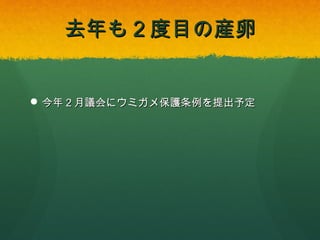去年も２度目の産卵

 今年２月議会にウミガメ保護条例を提出予定

 