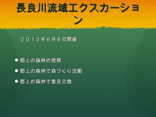 長良川流域エクスカーション
２０１３年６月８日開催

 郡上の森林の視察
 郡上の森林で森づくり活動
 郡上の森林で意見交換

 