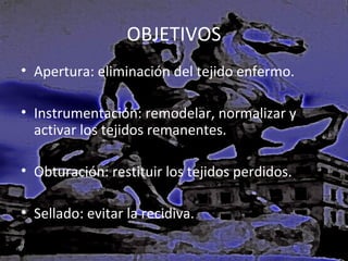 OBJETIVOS
• Apertura: eliminación del tejido enfermo.
• Instrumentación: remodelar, normalizar y
activar los tejidos remanentes.
• Obturación: restituir los tejidos perdidos.
• Sellado: evitar la recidiva.

 