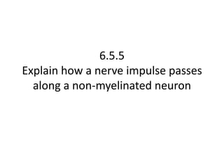 6.5.5
Explain how a nerve impulse passes
along a non-myelinated neuron

 