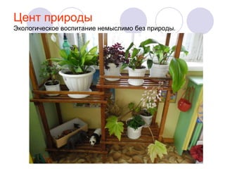 Цент природы
Экологическое воспитание немыслимо без природы.

 
