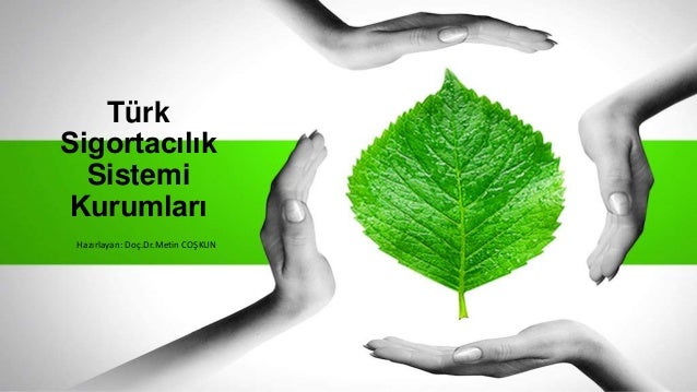 Kasko Firmalari Sigortam Net