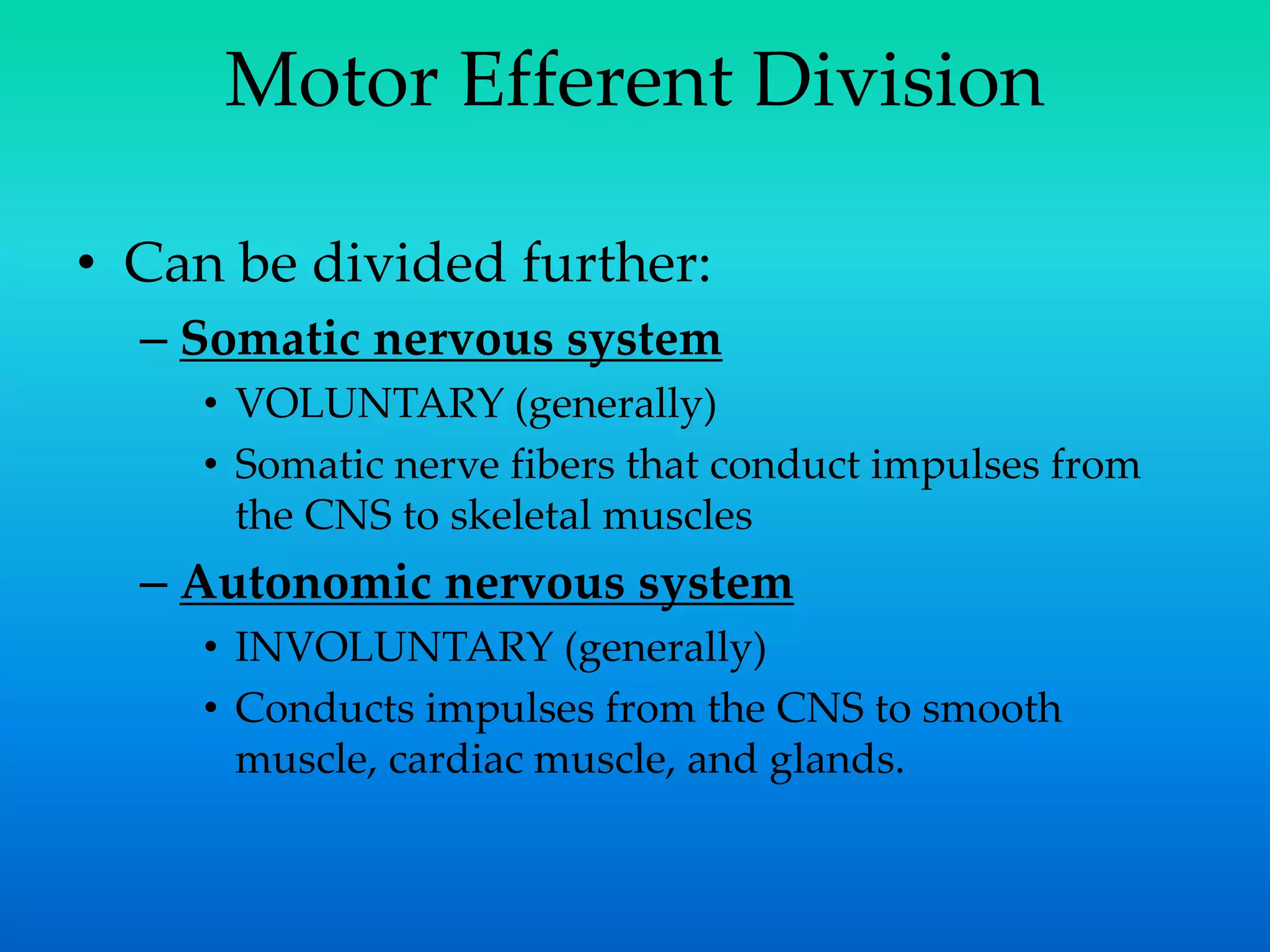 Motor Efferent Division
• Can be divided further:
– Somatic nervous system
• VOLUNTARY (generally)
• Somatic nerve fibers that conduct impulses from
the CNS to skeletal muscles
– Autonomic nervous system
• INVOLUNTARY (generally)
• Conducts impulses from the CNS to smooth
muscle, cardiac muscle, and glands.
 