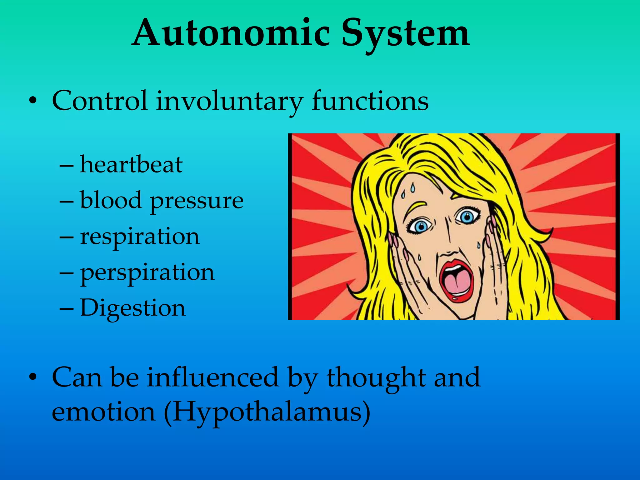 Autonomic System
• Control involuntary functions
– heartbeat
– blood pressure
– respiration
– perspiration
– Digestion
• Can be influenced by thought and
emotion (Hypothalamus)
 