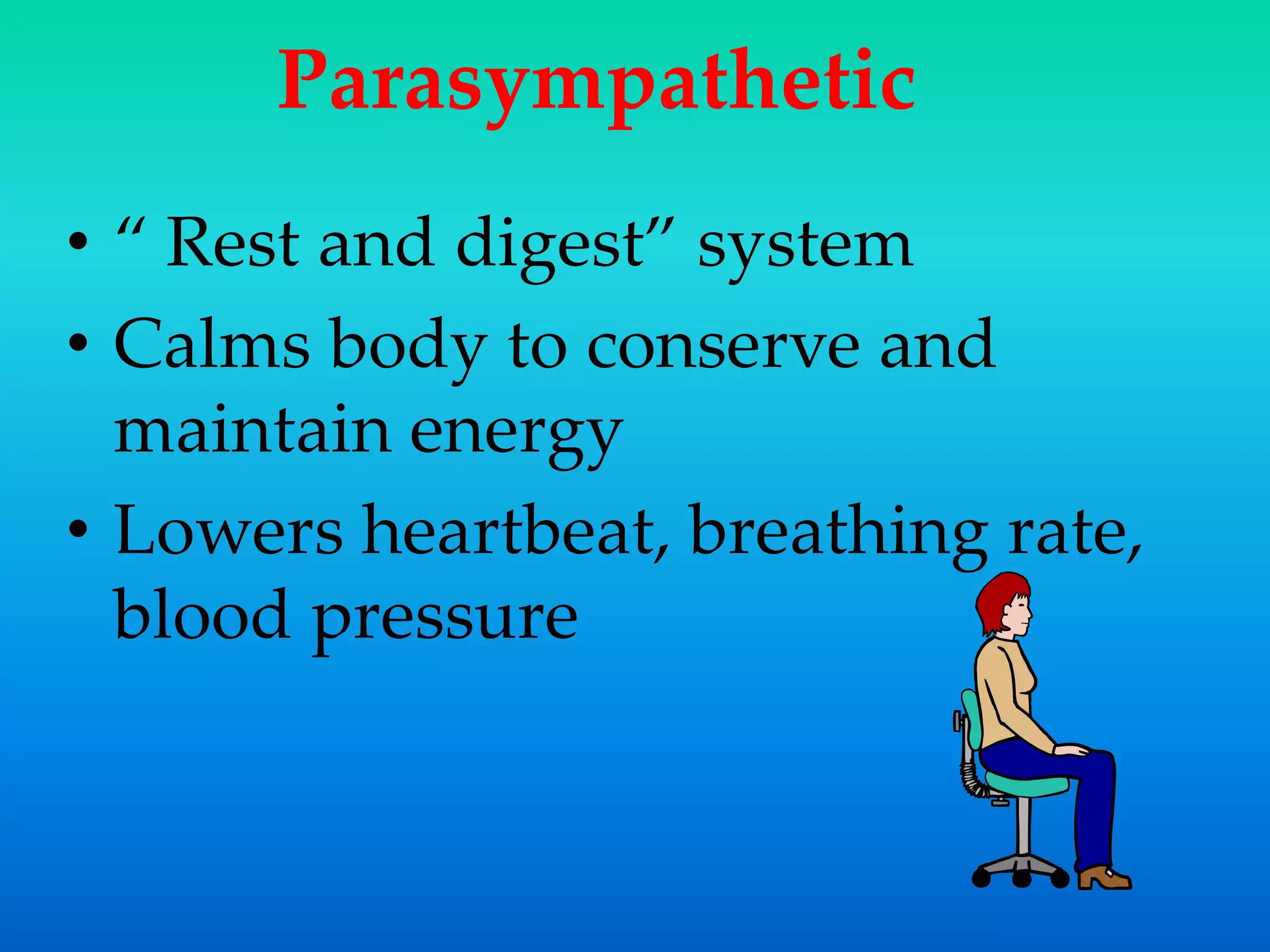 Parasympathetic
• “ Rest and digest” system
• Calms body to conserve and
maintain energy
• Lowers heartbeat, breathing rate,
blood pressure
 