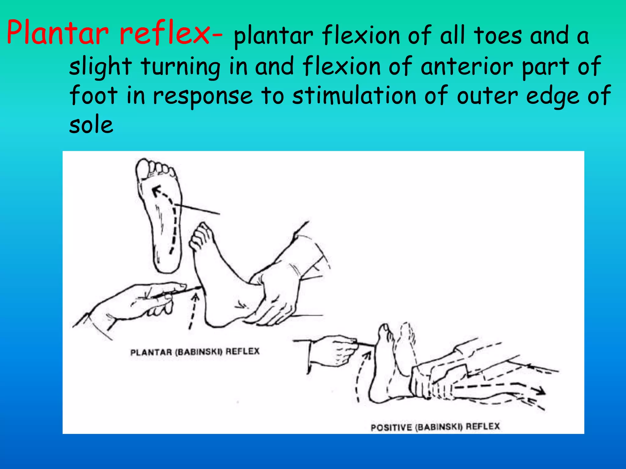 Plantar reflex- plantar flexion of all toes and a
slight turning in and flexion of anterior part of
foot in response to stimulation of outer edge of
sole
 