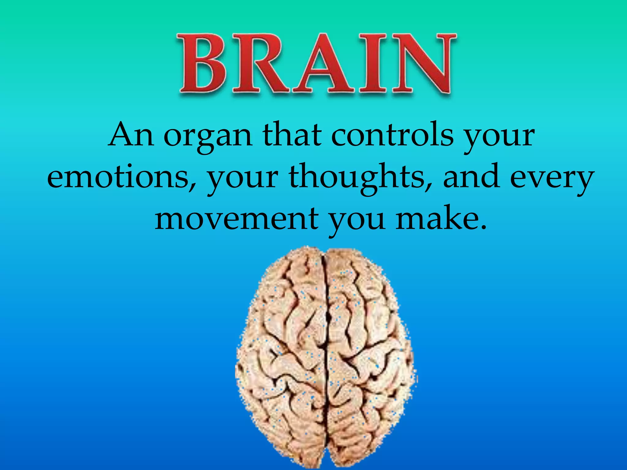 An organ that controls your
emotions, your thoughts, and every
movement you make.
 