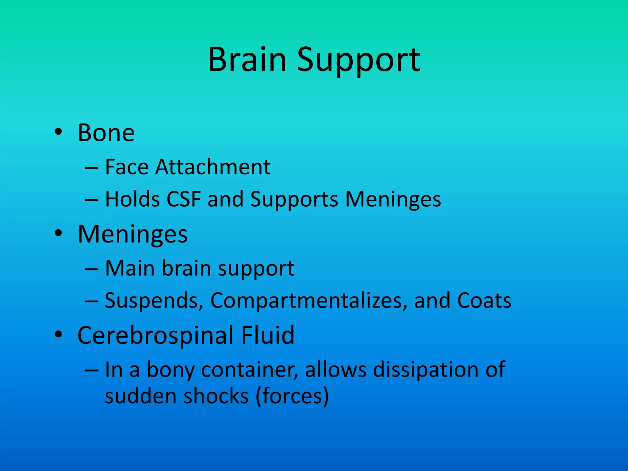 Brain Support
• Bone
– Face Attachment
– Holds CSF and Supports Meninges
• Meninges
– Main brain support
– Suspends, Compartmentalizes, and Coats
• Cerebrospinal Fluid
– In a bony container, allows dissipation of
sudden shocks (forces)
 