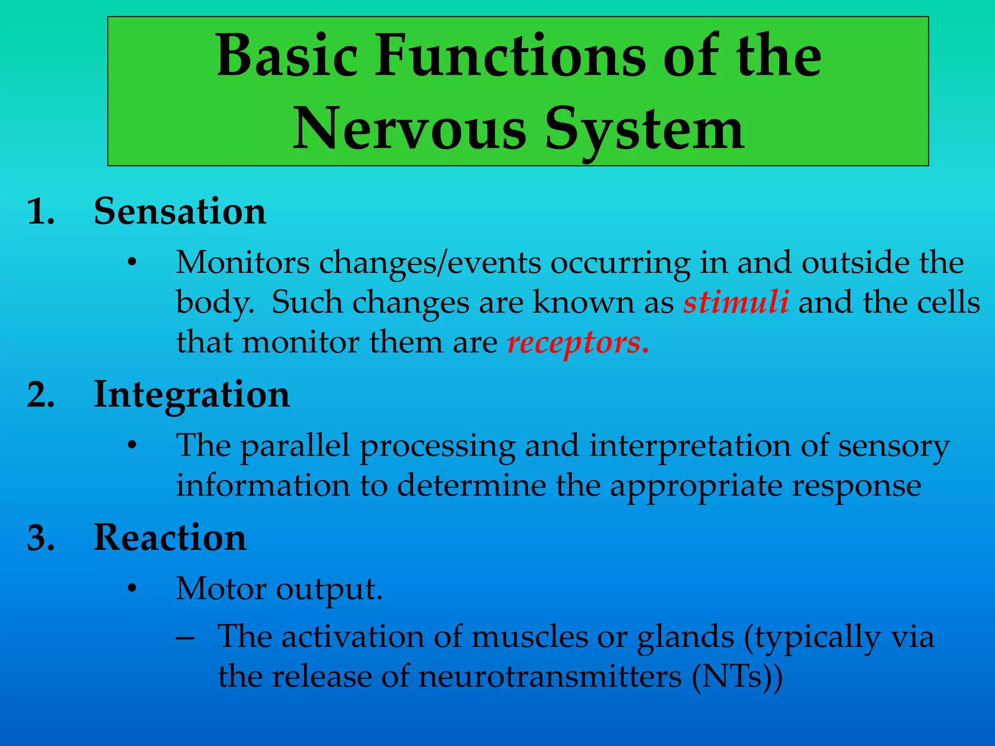 Basic Functions of the
Nervous System
1. Sensation
• Monitors changes/events occurring in and outside the
body. Such changes are known as stimuli and the cells
that monitor them are receptors.
2. Integration
• The parallel processing and interpretation of sensory
information to determine the appropriate response
3. Reaction
• Motor output.
– The activation of muscles or glands (typically via
the release of neurotransmitters (NTs))
 