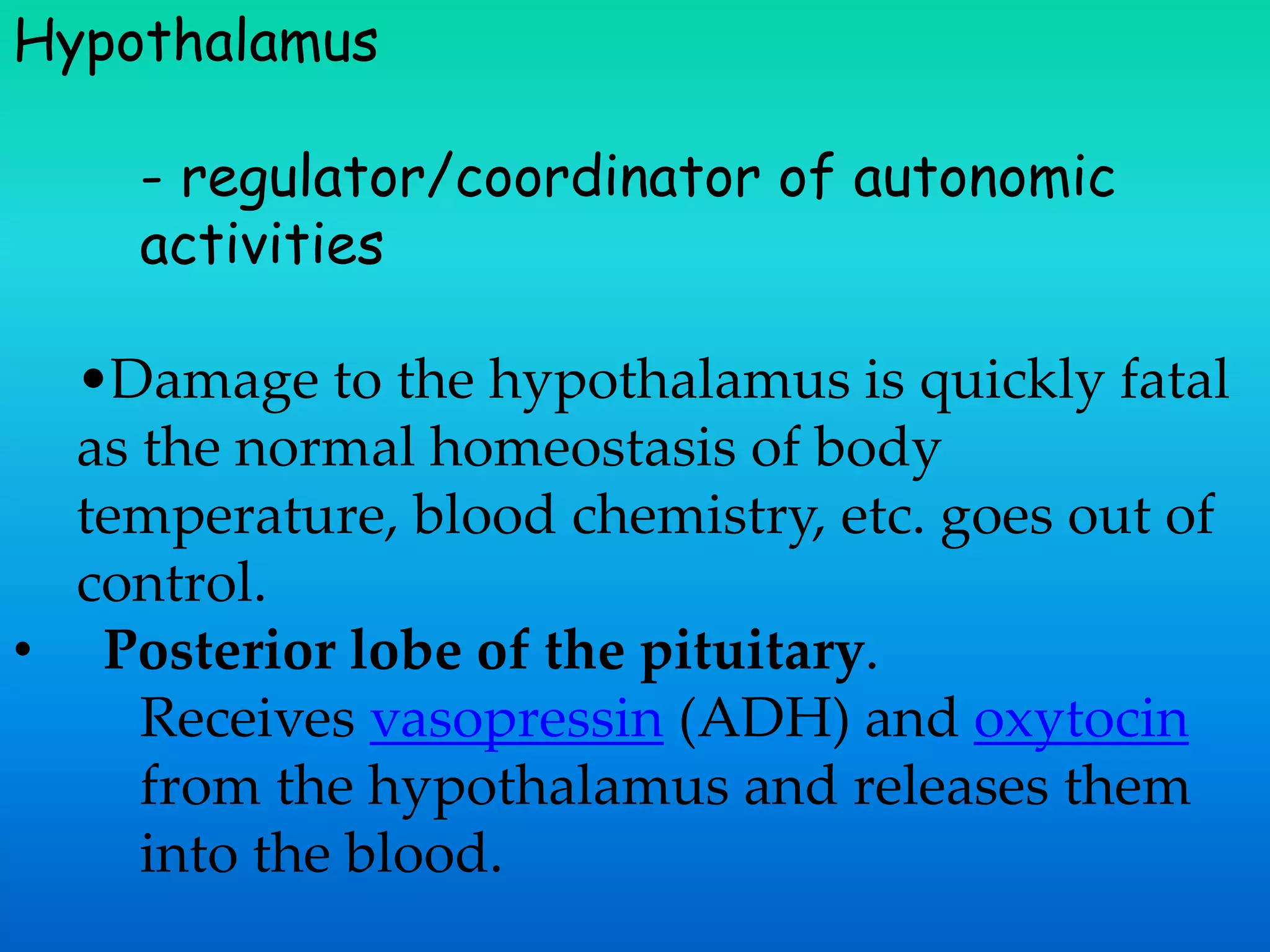 Hypothalamus
- regulator/coordinator of autonomic
activities
•Damage to the hypothalamus is quickly fatal
as the normal homeostasis of body
temperature, blood chemistry, etc. goes out of
control.
• Posterior lobe of the pituitary.
Receives vasopressin (ADH) and oxytocin
from the hypothalamus and releases them
into the blood.
 