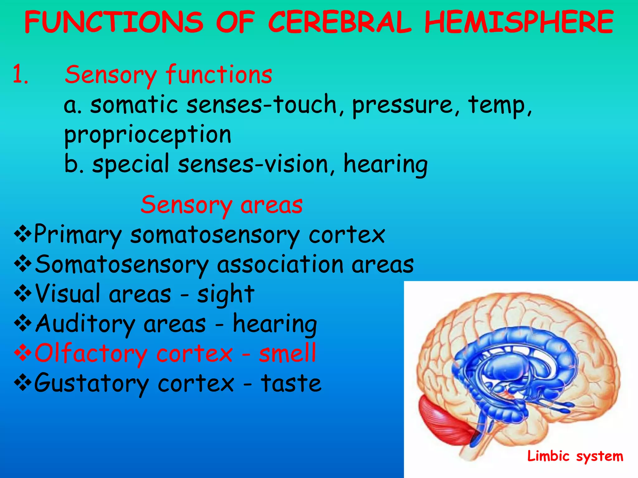 FUNCTIONS OF CEREBRAL HEMISPHERE
1. Sensory functions
a. somatic senses-touch, pressure, temp,
proprioception
b. special senses-vision, hearing
Sensory areas
Primary somatosensory cortex
Somatosensory association areas
Visual areas - sight
Auditory areas - hearing
Olfactory cortex - smell
Gustatory cortex - taste
Limbic system
 