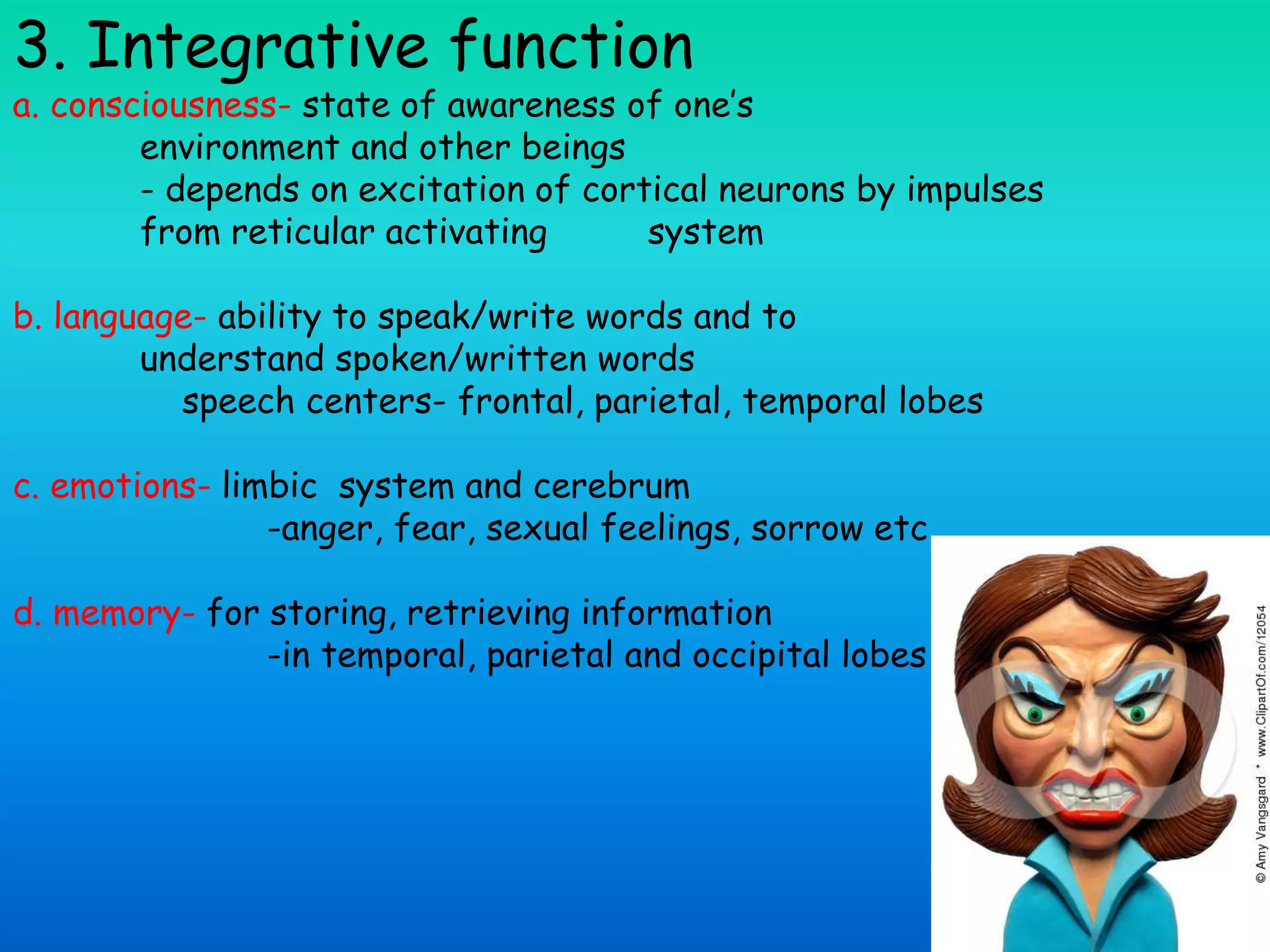 a. consciousness- state of awareness of one’s
environment and other beings
- depends on excitation of cortical neurons by impulses
from reticular activating system
b. language- ability to speak/write words and to
understand spoken/written words
speech centers- frontal, parietal, temporal lobes
c. emotions- limbic system and cerebrum
-anger, fear, sexual feelings, sorrow etc
d. memory- for storing, retrieving information
-in temporal, parietal and occipital lobes
3. Integrative function
 