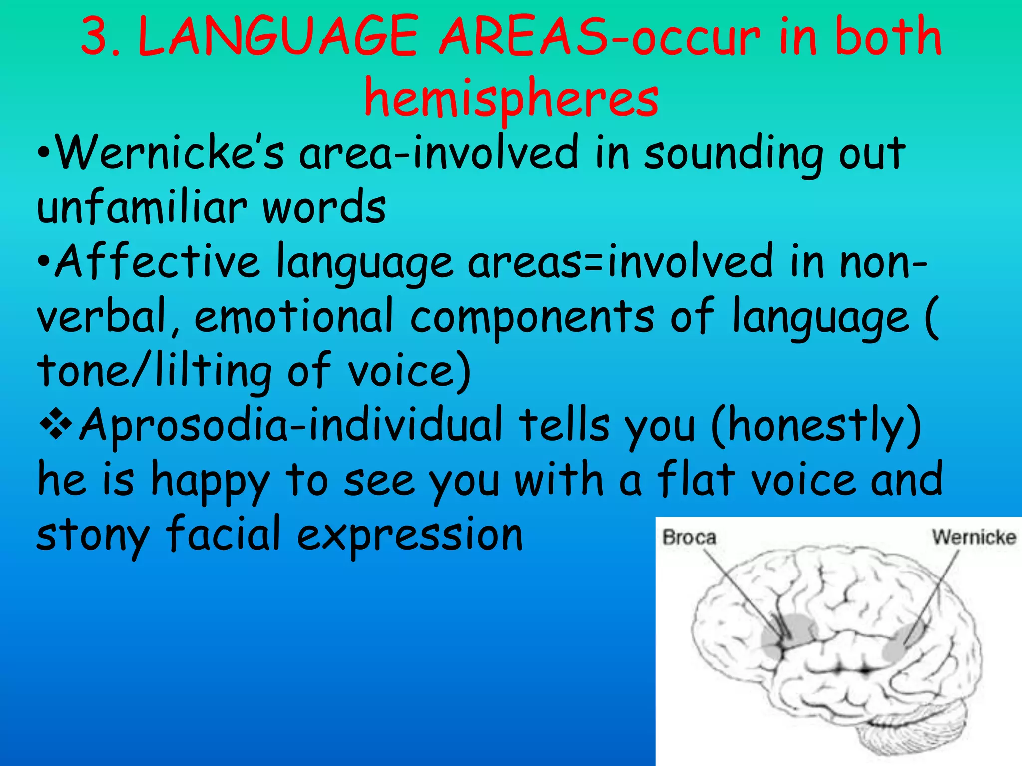 3. LANGUAGE AREAS-occur in both
hemispheres
•Wernicke’s area-involved in sounding out
unfamiliar words
•Affective language areas=involved in non-
verbal, emotional components of language (
tone/lilting of voice)
Aprosodia-individual tells you (honestly)
he is happy to see you with a flat voice and
stony facial expression
 