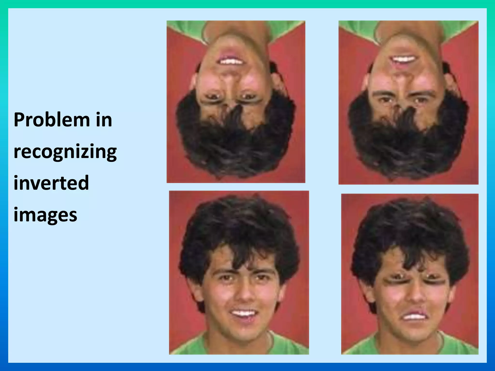 Problem in
recognizing
inverted
images
 