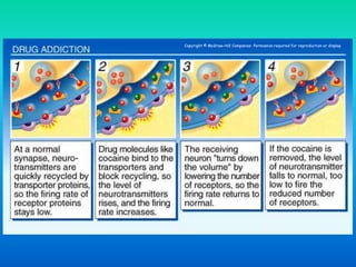 Copyright © McGraw-Hill Companies Permission required for reproduction or display
 