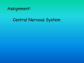 Assignment:
Central Nervous System
 