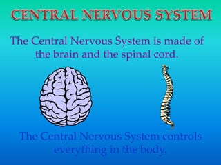 The Central Nervous System is made of
the brain and the spinal cord.
The Central Nervous System controls
everything in the body.
 