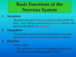 Basic Functions of the
Nervous System
1. Sensation
• Monitors changes/events occurring in and outside the
body. Such changes are known as stimuli and the cells
that monitor them are receptors.
2. Integration
• The parallel processing and interpretation of sensory
information to determine the appropriate response
3. Reaction
• Motor output.
– The activation of muscles or glands (typically via
the release of neurotransmitters (NTs))
 