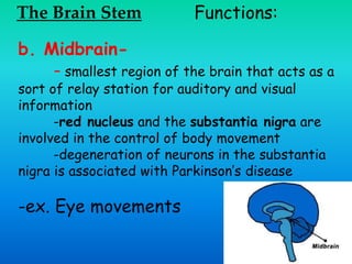 The Brain Stem Functions:
b. Midbrain-
- smallest region of the brain that acts as a
sort of relay station for auditory and visual
information
-red nucleus and the substantia nigra are
involved in the control of body movement
-degeneration of neurons in the substantia
nigra is associated with Parkinson’s disease
-ex. Eye movements
 