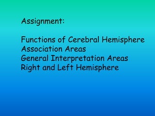 Assignment:
Functions of Cerebral Hemisphere
Association Areas
General Interpretation Areas
Right and Left Hemisphere
 