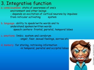 a. consciousness- state of awareness of one’s
environment and other beings
- depends on excitation of cortical neurons by impulses
from reticular activating system
b. language- ability to speak/write words and to
understand spoken/written words
speech centers- frontal, parietal, temporal lobes
c. emotions- limbic system and cerebrum
-anger, fear, sexual feelings, sorrow etc
d. memory- for storing, retrieving information
-in temporal, parietal and occipital lobes
3. Integrative function
 