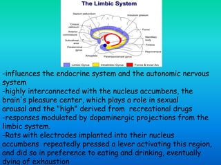 -influences the endocrine system and the autonomic nervous
system
-highly interconnected with the nucleus accumbens, the
brain's pleasure center, which plays a role in sexual
arousal and the "high" derived from recreational drugs
-responses modulated by dopaminergic projections from the
limbic system.
-Rats with electrodes implanted into their nucleus
accumbens repeatedly pressed a lever activating this region,
and did so in preference to eating and drinking, eventually
dying of exhaustion
 