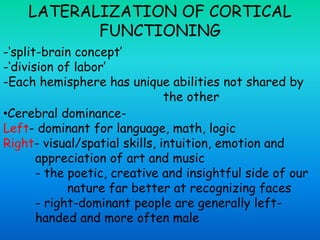 LATERALIZATION OF CORTICAL
FUNCTIONING
-‘split-brain concept’
-‘division of labor’
-Each hemisphere has unique abilities not shared by
the other
•Cerebral dominance-
Left- dominant for language, math, logic
Right- visual/spatial skills, intuition, emotion and
appreciation of art and music
- the poetic, creative and insightful side of our
nature far better at recognizing faces
- right-dominant people are generally left-
handed and more often male
 