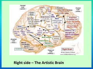 Right side – The Artistic Brain
 