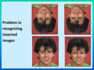 Problem in
recognizing
inverted
images
 