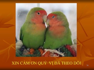 74
XIN CẢM ƠN QUÝ VỊ ĐÃ THEO DÕI
 