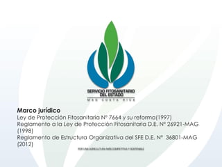 Marco jurídico
Ley de Protección Fitosanitaria Nº 7664 y su reforma(1997)
Reglamento a la Ley de Protección Fitosanitaria D.E. Nº 26921-MAG
(1998)
Reglamento de Estructura Organizativa del SFE D.E. Nº 36801-MAG
(2012)
 